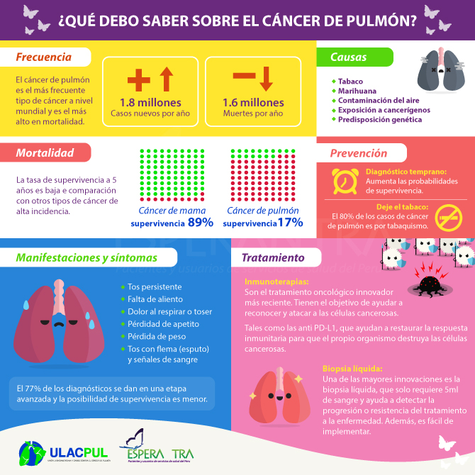 Dia Cancer de Pulmon web1