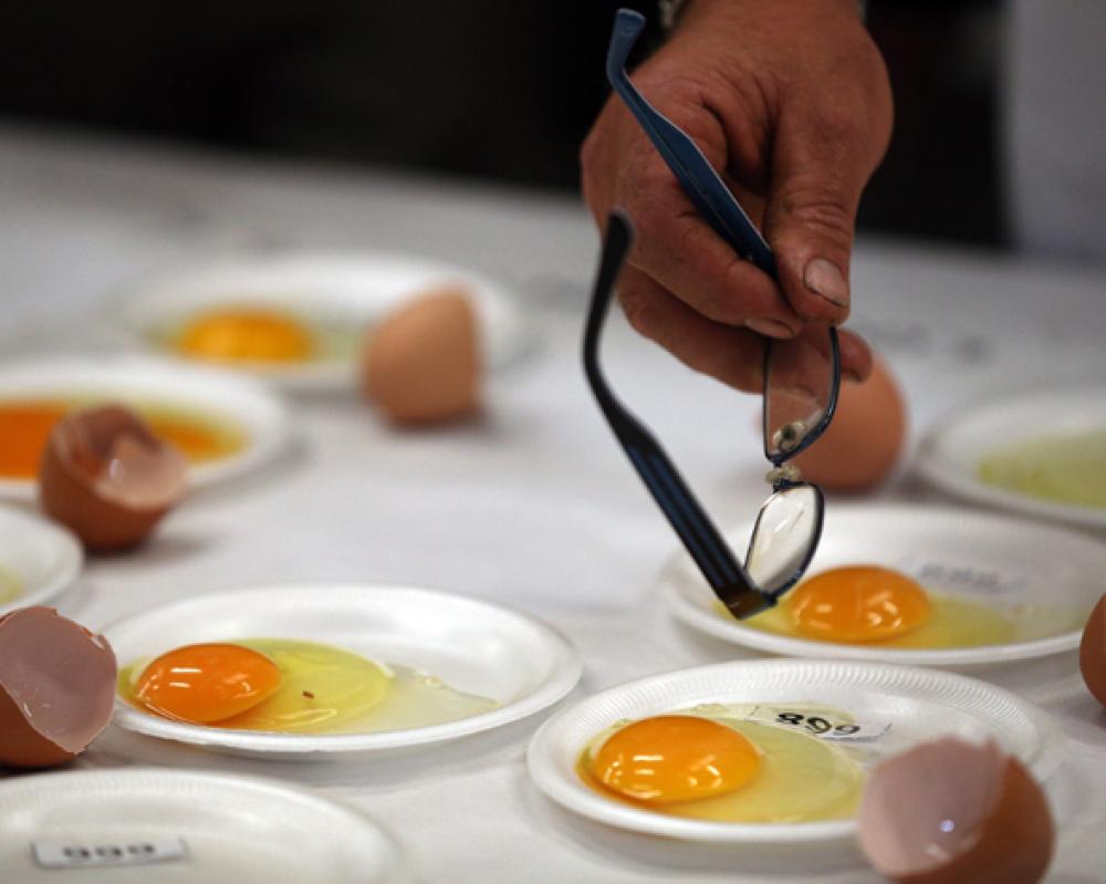 huevos