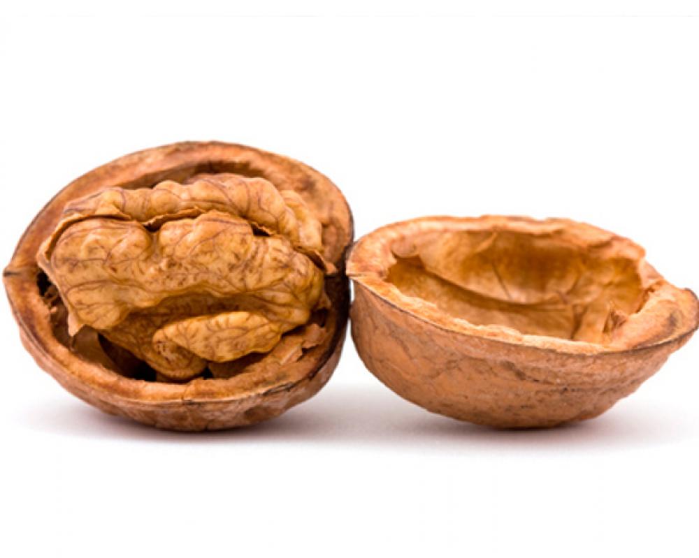 nueces