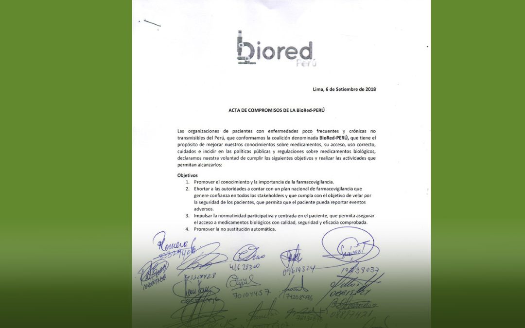 Acta de compromisos de la BioRed – Perú
